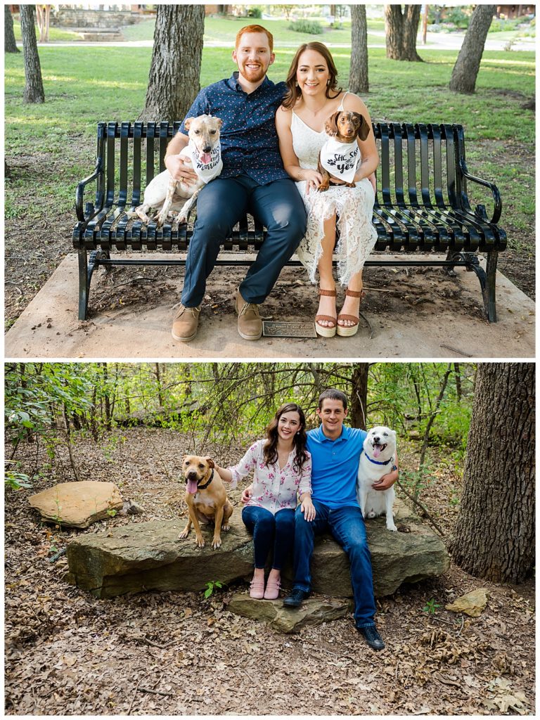 Engagement pictures with dogs