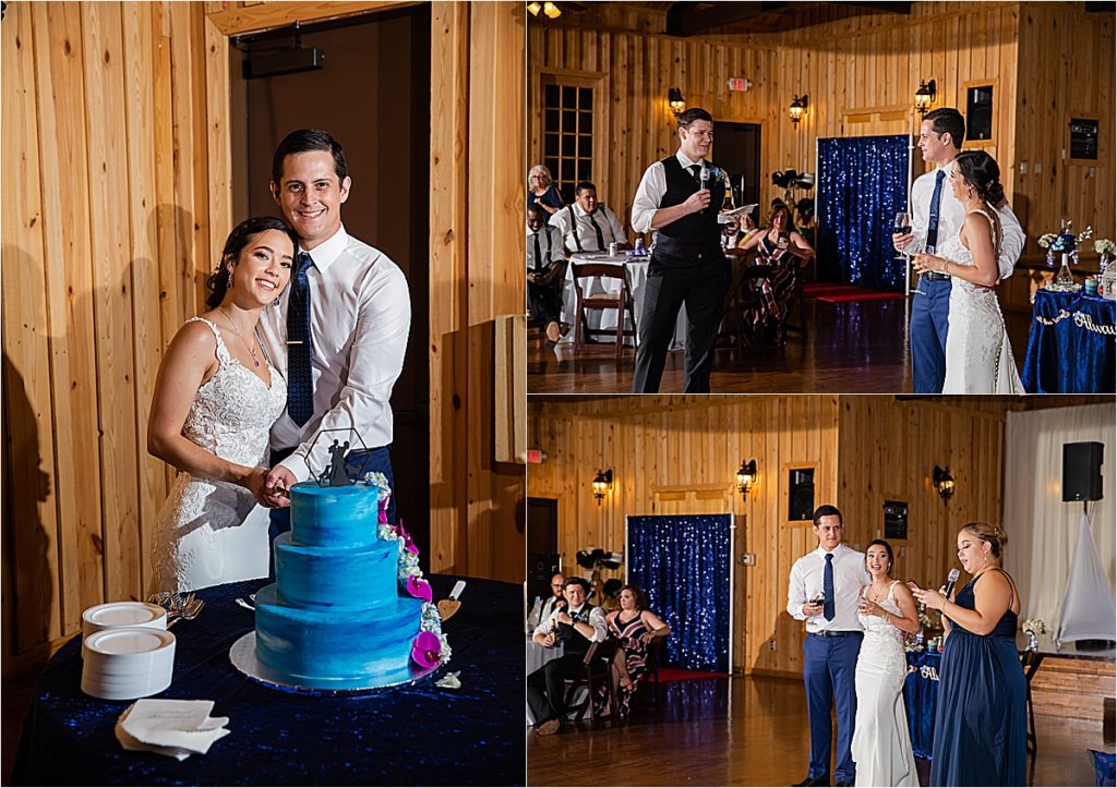 Cake and toast wedding photos